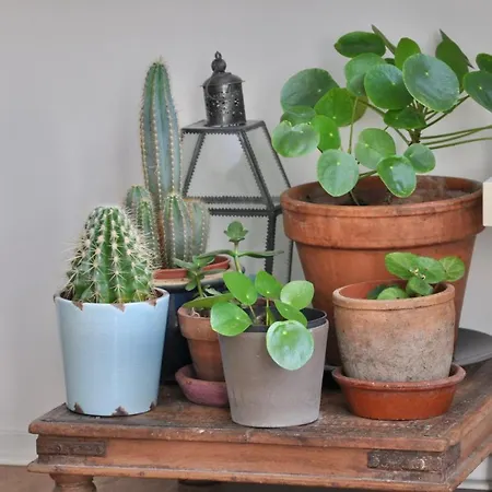 Homeawayhome C&r 1 Lägenhet