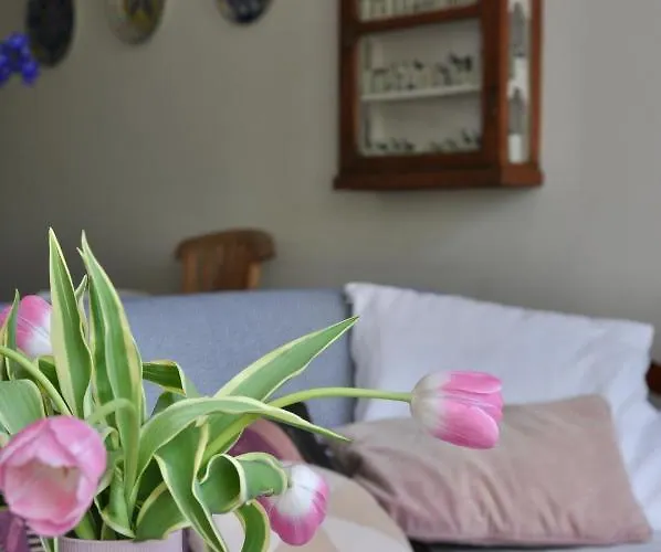 Homeawayhome C&r 1 Amsterdam