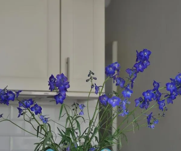 Homeawayhome C&r 1 *