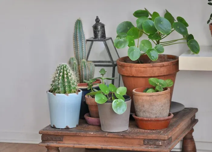 Homeawayhome C&r 1 Appartement